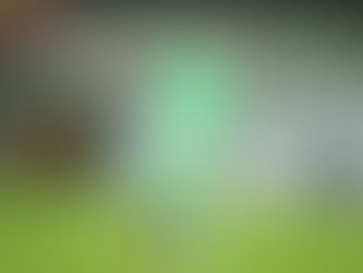 מכבי חיפה: One Trick Pony או סינדרלה?