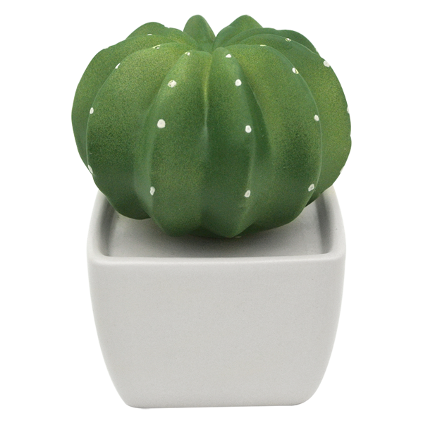 仙人掌擴香套裝 Cactus diffuser
