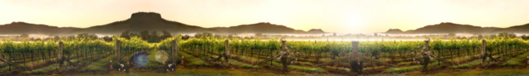 Beautiful Hunte Valley Vineyards