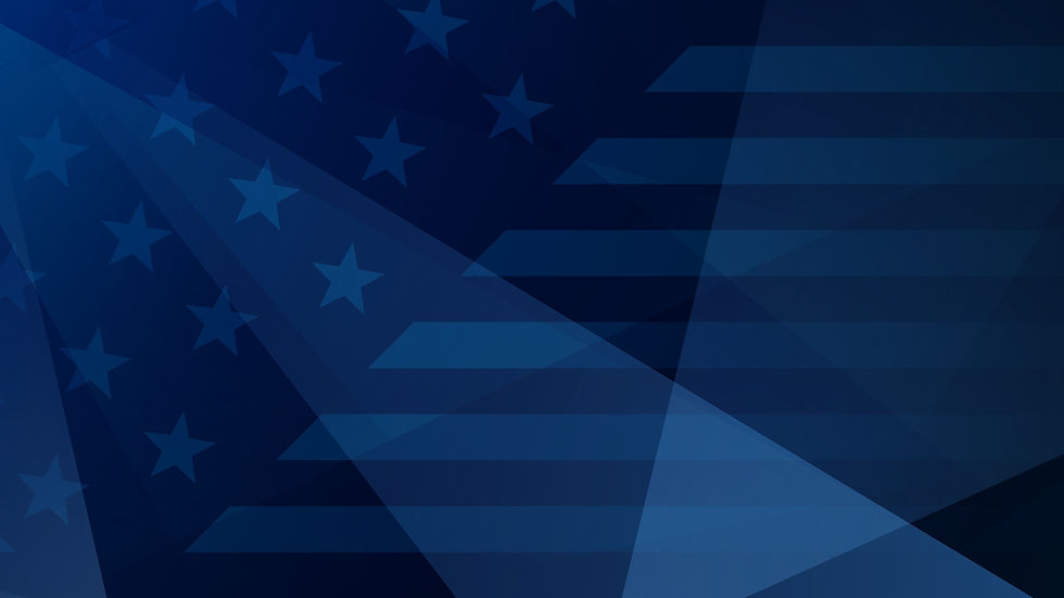 Blue Flag Back.jpg