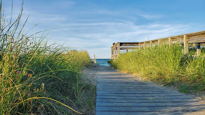 Sleeping_bear_wooden_path.jpg