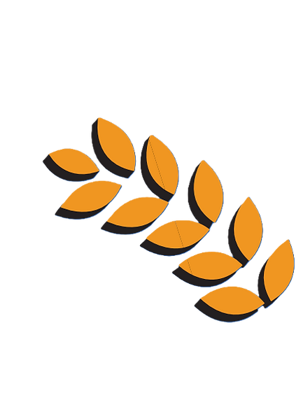 PintaBeerLeaf.png