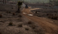 Red path. India 2017