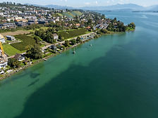drohnenaufnahme-zuerichsee.jpg