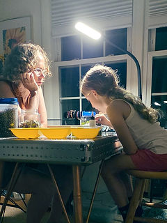 Mosaic Art Classes for Children and Kids