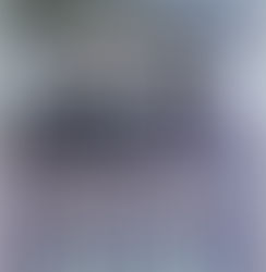 "Cutting School: Privatization, Segregation, and the End of Public Education" by Noliwe Ro