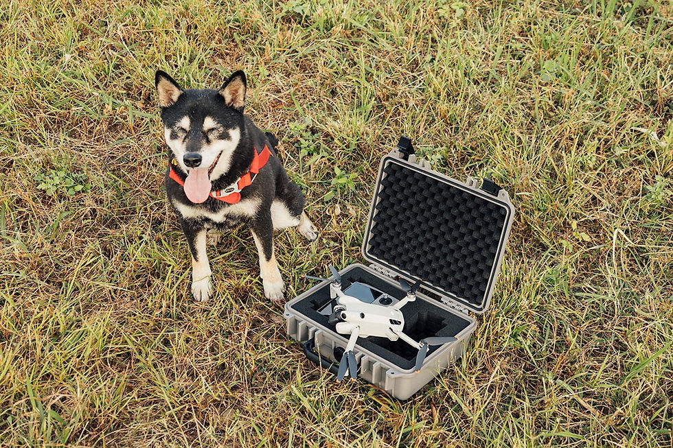 DJI Mini 3 空拍機與 Vidafun V12 防水氣密箱