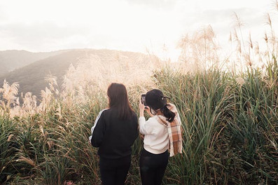 盛開的芒花海與人物