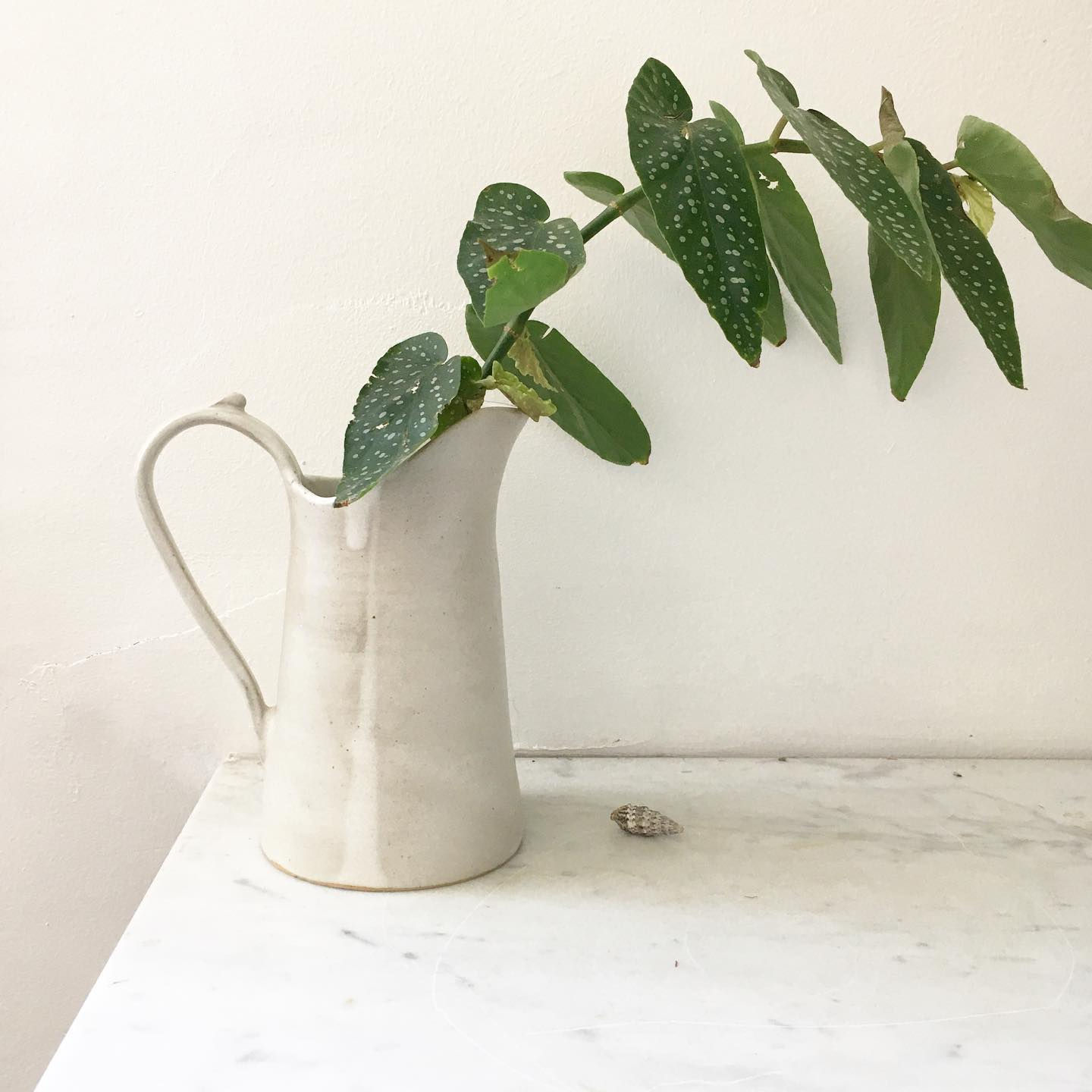 Pichet Sankaku (Petit)