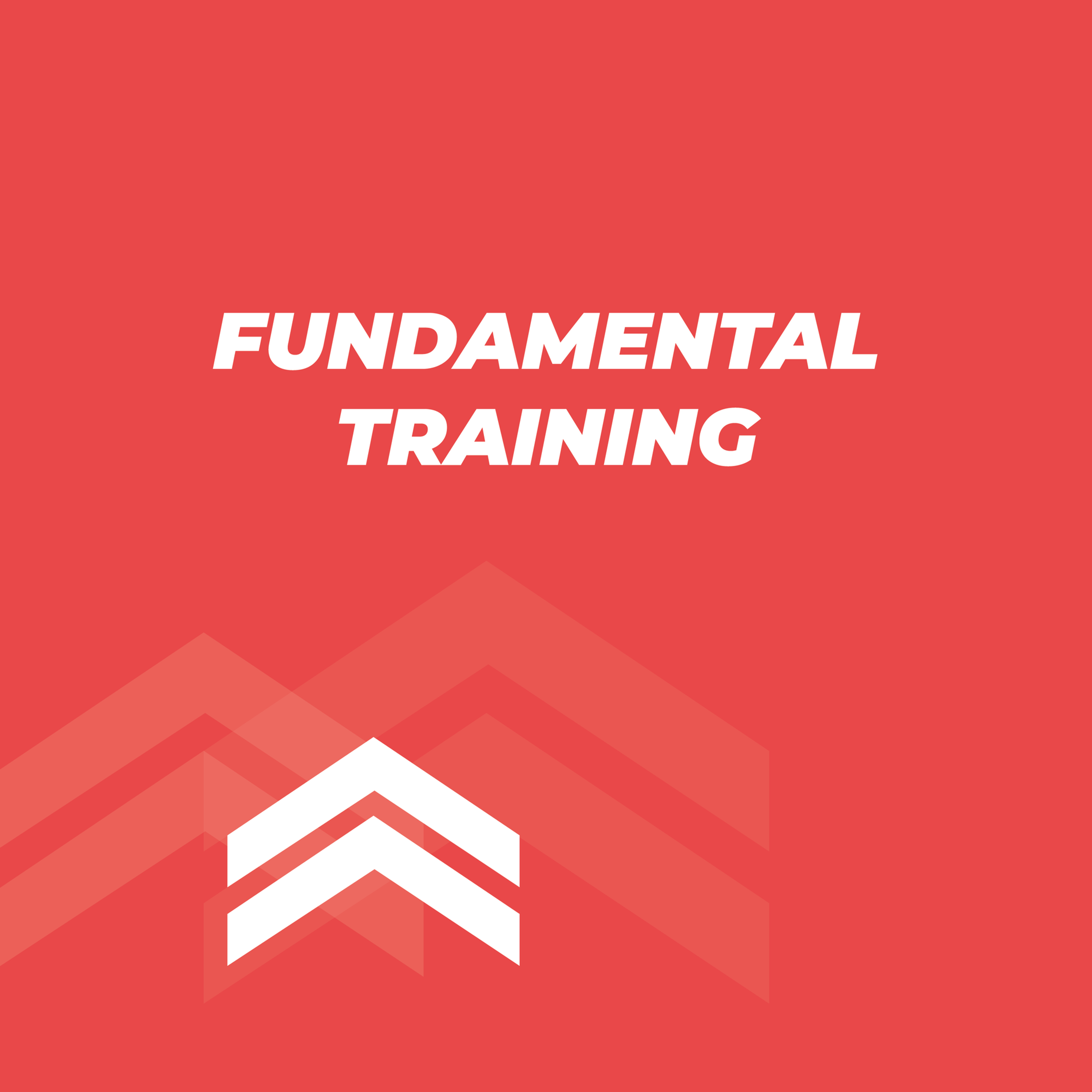 FUNDAMENTAL STRENGTH TRAINING FOR HANDBALL PROGRAM