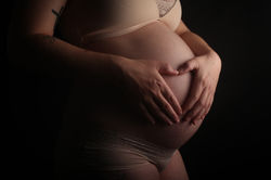 Gravid