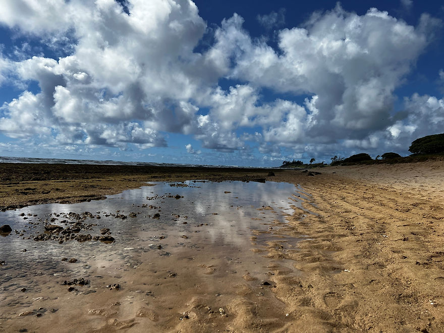Hawaii.jpg