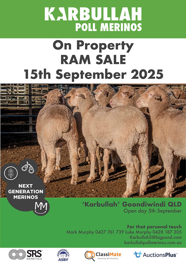 2025 Ram Sale flyer, wether.jpg