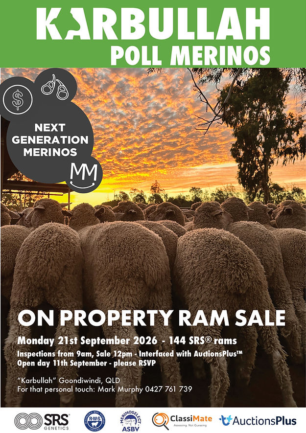 2026 Ram Sale flyer final.jpg