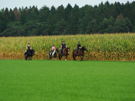 Fotos vom Wanderritt 2021 online!