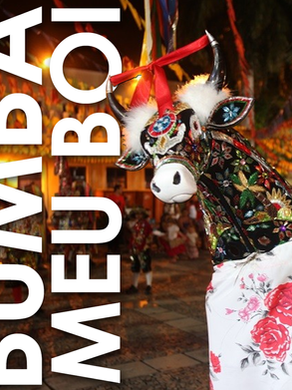 Bumba-meu-boi