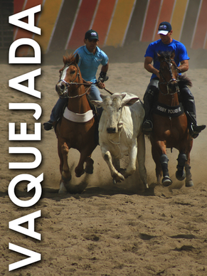 Vaquejada