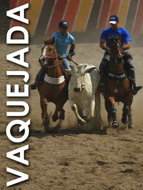 Vaquejada