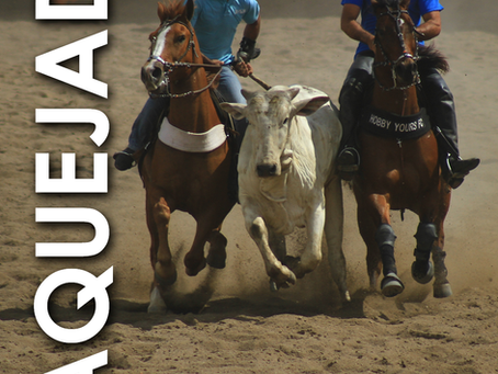 Vaquejada