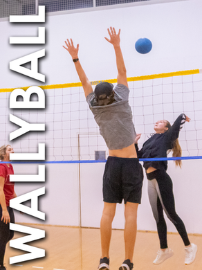 Wallyball: o vôlei de parede