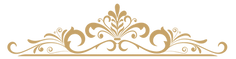 ornaments16-solid.png
