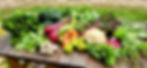 csa-share-vegetables.jpg