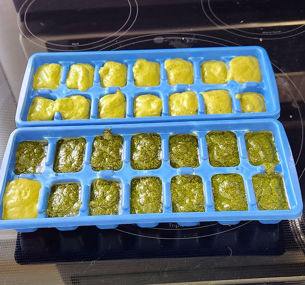 Herbs mixed with olive oil in ice cube trays.