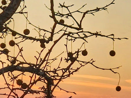 Travel, Vata Season, and Staying Grounded: An Ayurvedic Perspective