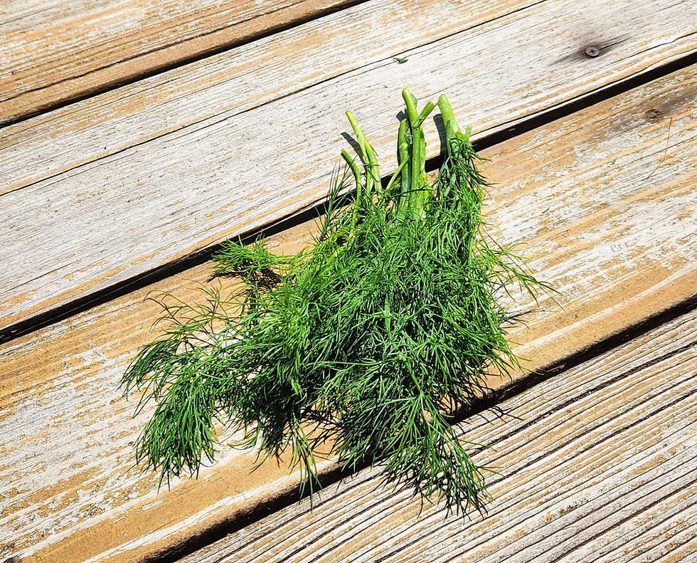 A bunch of tulsi on a deck.