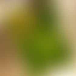 Cooking Classes added to our Menu