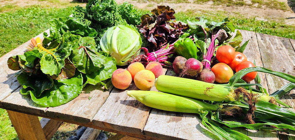 20240826_122236 (5).jpg