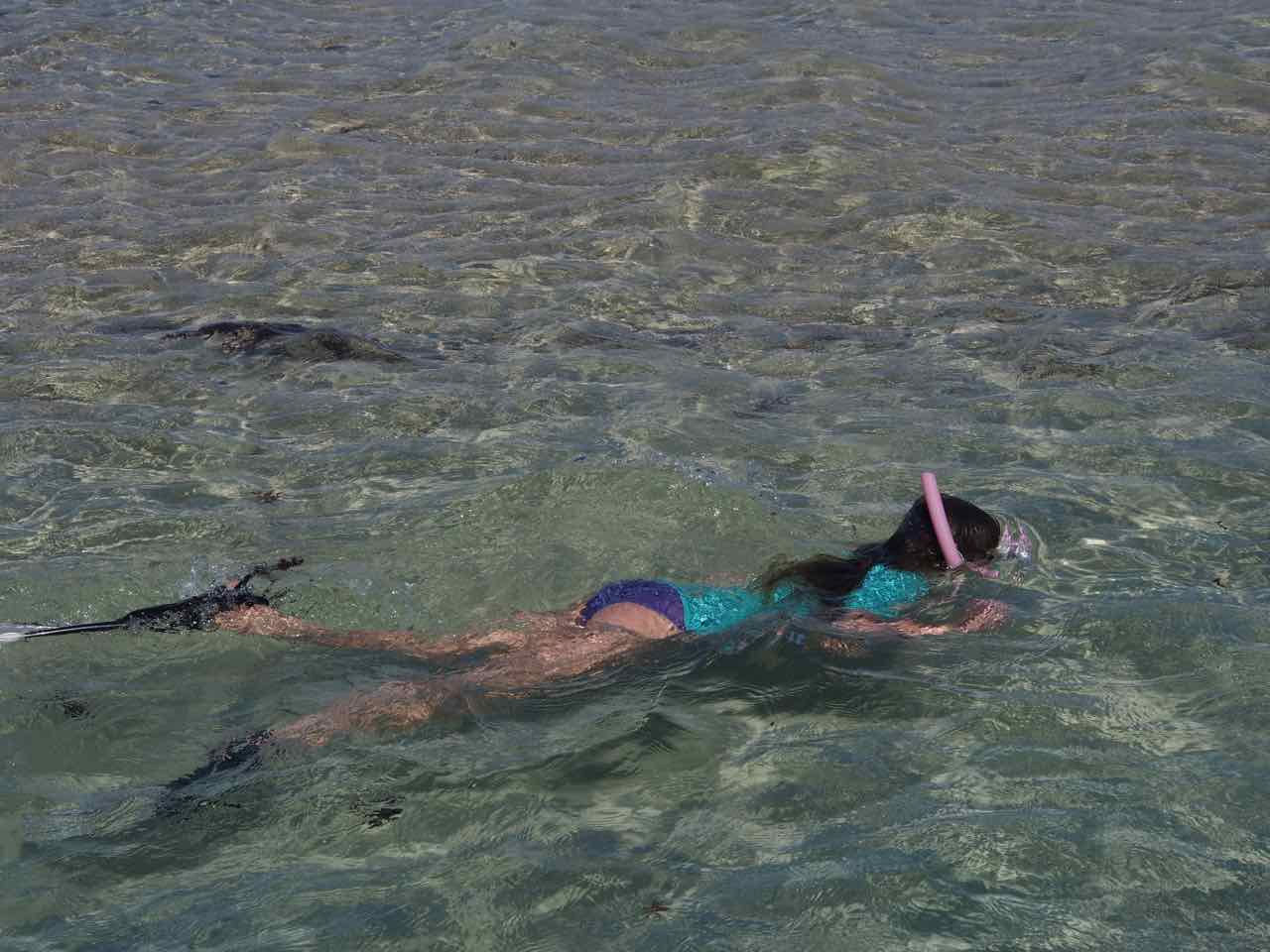 snorkelling at Coral Bay