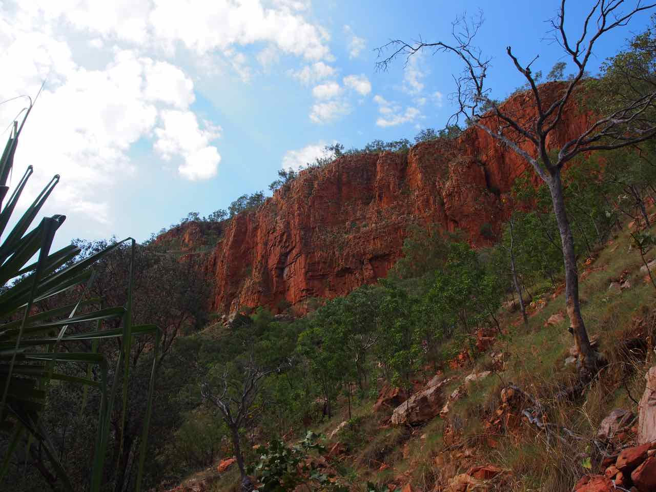 P6101693