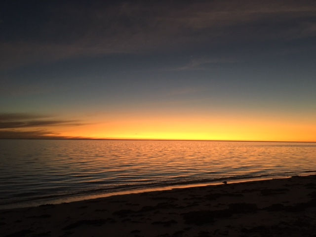 sunset 1