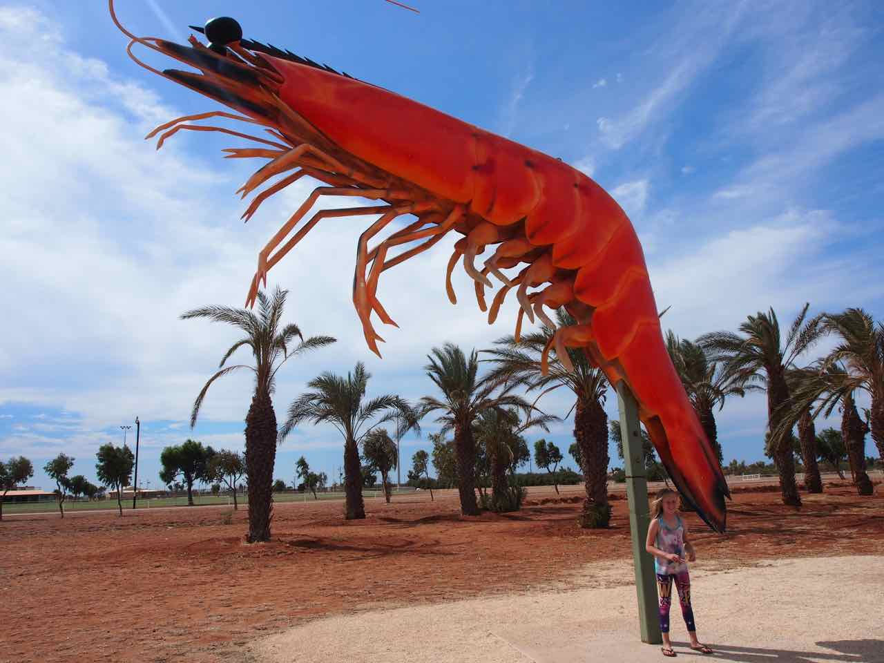 the big prawn