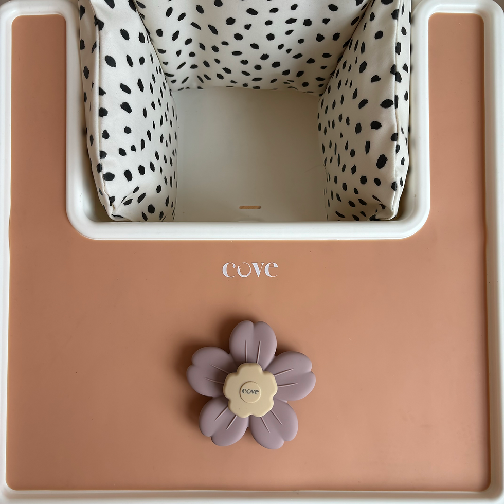 Thumbnail: A pink flower toy on a high chair tray with an apricot placemat and a dalmatian patttern cushion