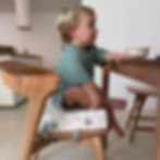 zoo animal white multicolored drawing seat booster pad portable foam toddler cove baby chair weaning furniture