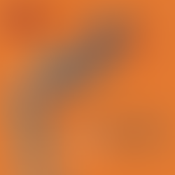 "What On Earth Are We Here For" Small Group Service Projects