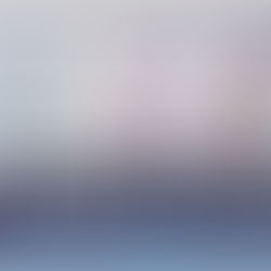 Brief Bible Dive with Pastor Nik