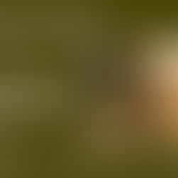 February 8, 2026 Jesus’s Leadership Style: “Balanced Leadership”