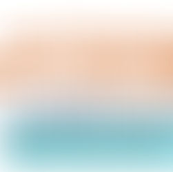 Thanksgiving Food Drive 2025