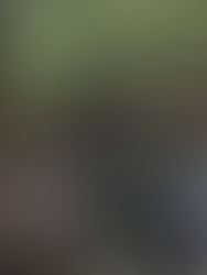 Taking Retreat as Part of Our Privacy Practice