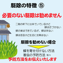 駆除の特徴005.png
