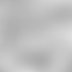 Unleash Your Inner Fighter: Enter the Monthly Contest for a Chance to Win a Signed Shikishi by a Mystery Artist!