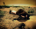 Hombre al agua