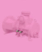 PUMP ROSA copy