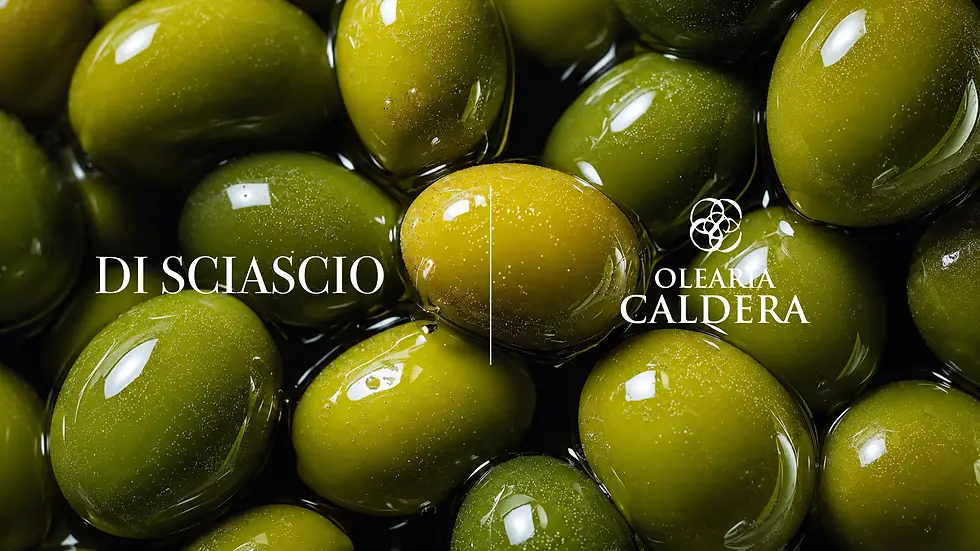 DI SCIASCIO CASA and Olearia Caldera collaborate to produce the world's best Italian luxury extra virgin olive oil, presented in an exclusive, high-end designer bottle.