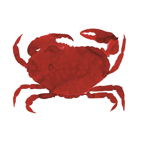 Da Mario's LITTLE ITALY . DI SCIASCIO . Marina Garcia Fernandez . Crab . 550 x 550.png