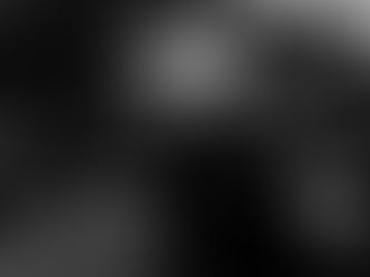 Da Mario's Restaurant Seeheim-Jugenheim Innenraum Holzbar vor Brand 2019 · DI SCIASCIO® · Bergstraße Hessen