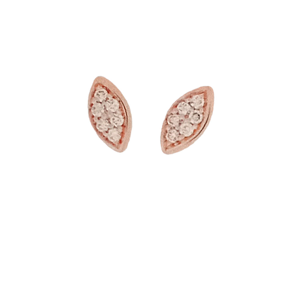 Bron Poppy oorstekers.